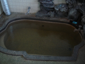 yabuzukakan_onnayu