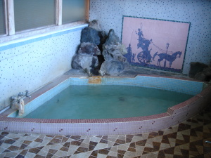 yabuzukakan_otokoyu